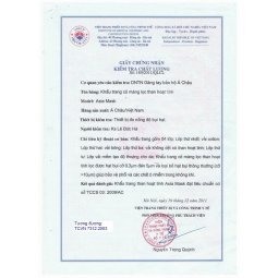Khẩu trang than hoạt tính Asia Mask ( TQT)