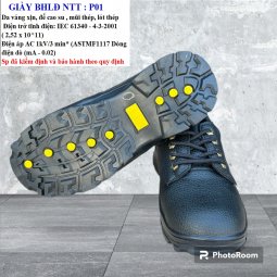 Giày bảo hộ P01