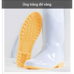 Ủng trắng đế vàng HP