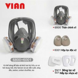Mặt nạ nguyên mặt VIAN 6800