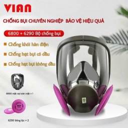 Mặt nạ nguyên mặt VIAN 6800